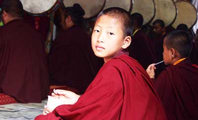 The living culture